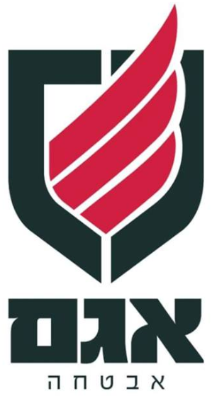 אגם אבטחה בע"מ