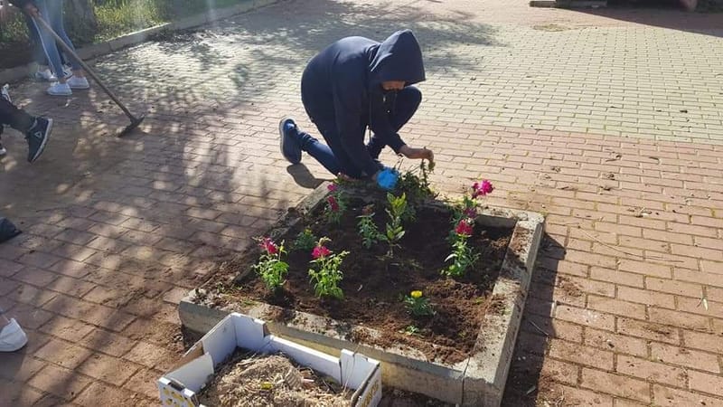 لجنة الاهالي والطلاب والمعلمين يقومون بزرع الاشجار في المدرسة الاعدادية عسفيا ..