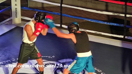 عسفيا تستضيف عرض كفوف السلام في رياضة الملاكمة  .