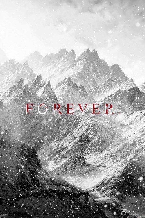 The Twilight Saga by Stephenie Meyer