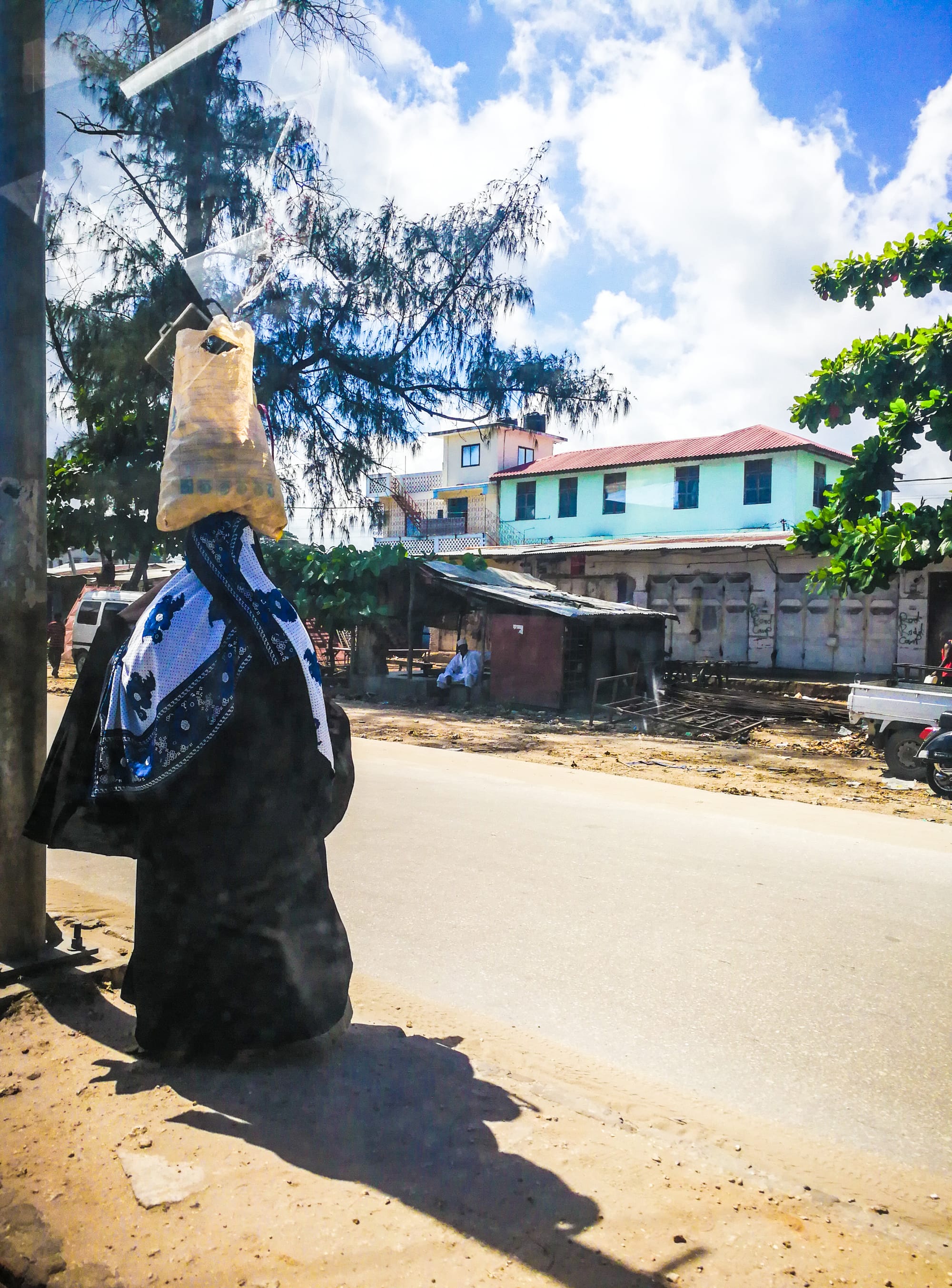 Zanzibarsko ludilo