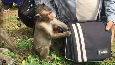 Kako zaštititi osobne stvari?