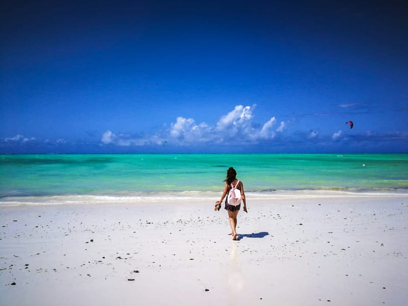 Sve od Jozani parka do Paje plaže