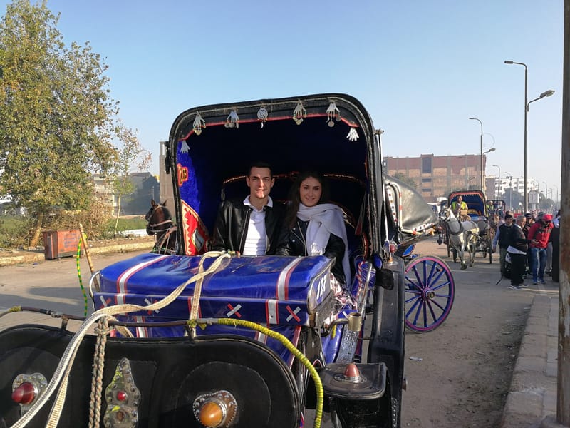 Temple of Edfu & Karnak