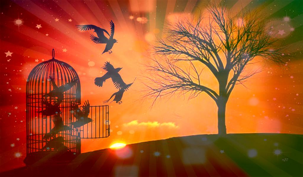 Libertades