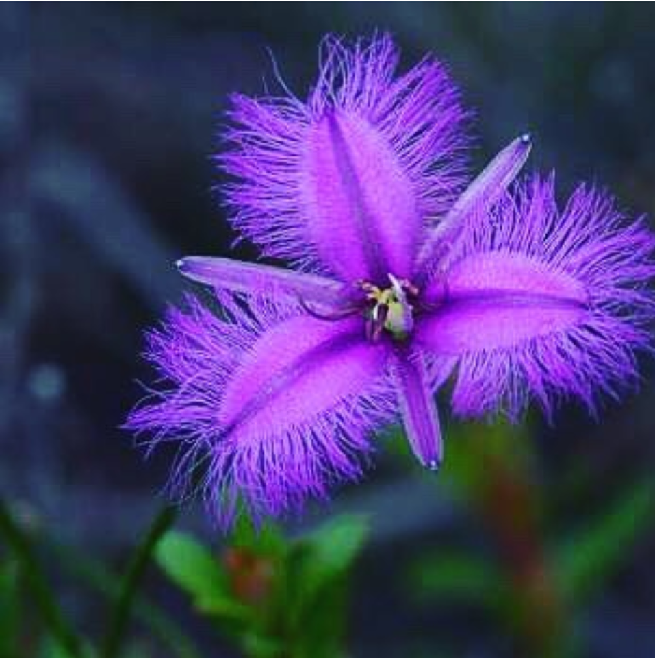 Συμβουλευτική με