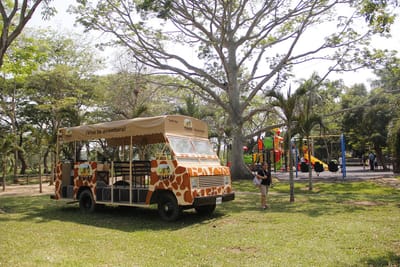 CENTRO RECREATIVO image