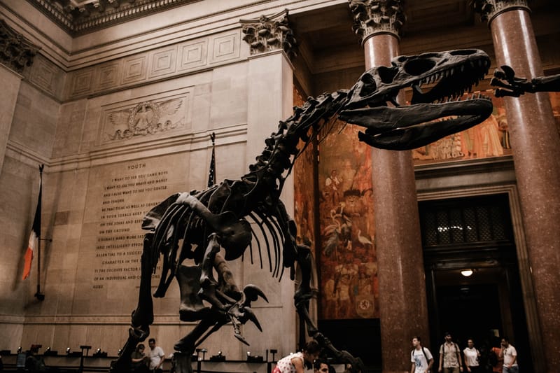 Royal Tyrrell Museum