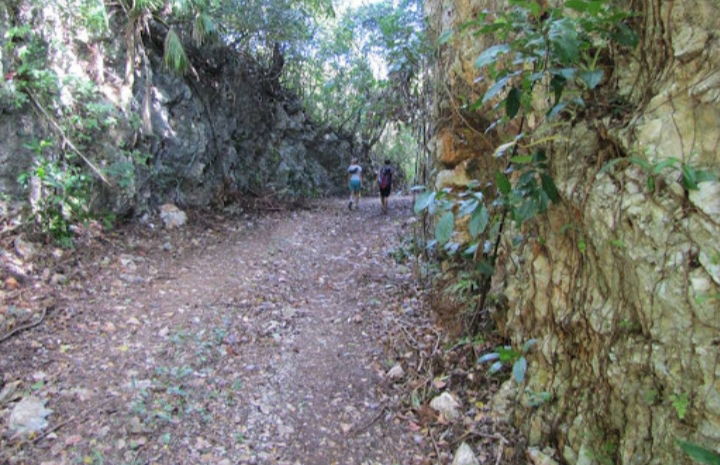 Cockpit Country Hiking