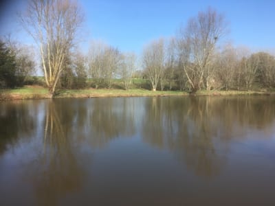 Feedback &amp; Submissions image