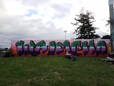 Karawhiti Kotiro March 2021 TDC