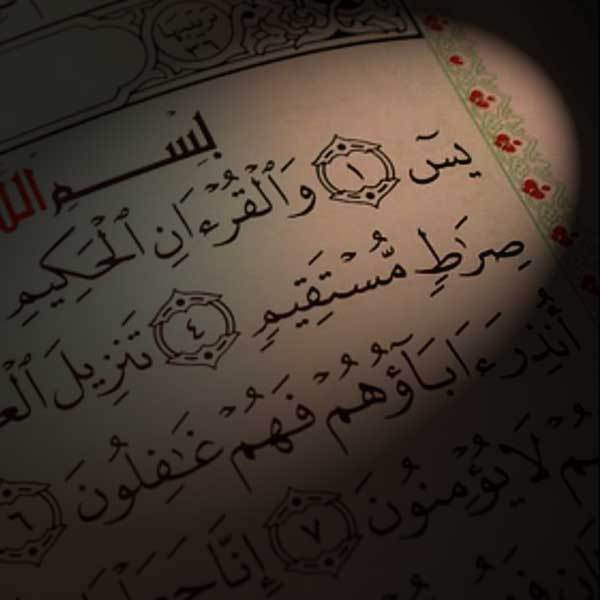 للمحبة بين الزوجين بسورة يس00201021536177