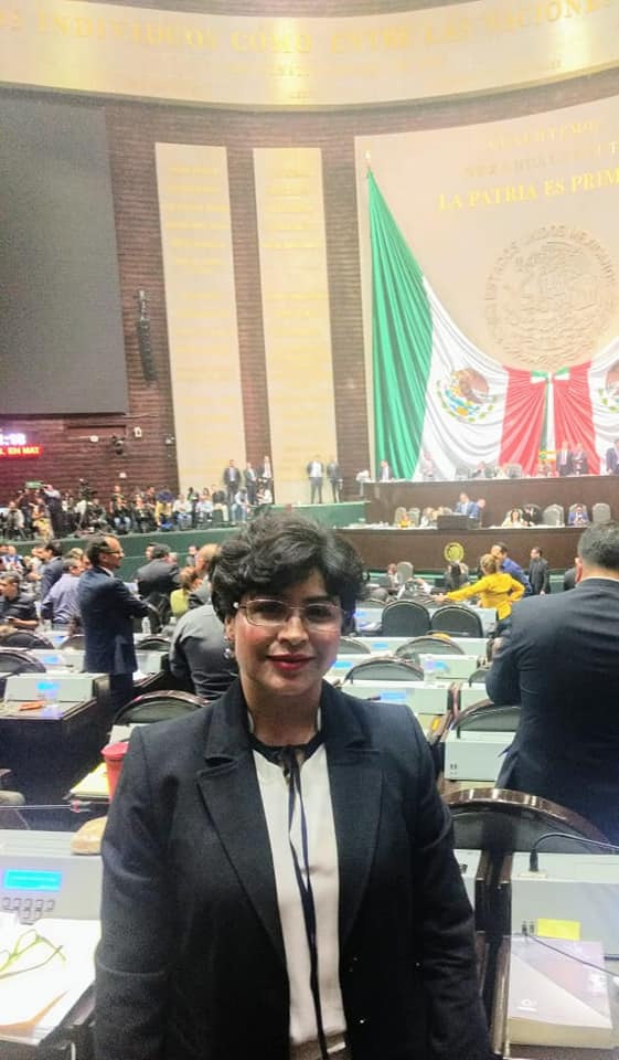 ANITA SANCHEZ CASTRO, DIPUTADA FEDERAL voto a favor de la Revocación de mandato y Consulta Popula