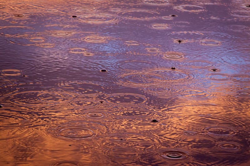 Rain