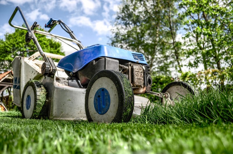 LAWN CARE PLANS