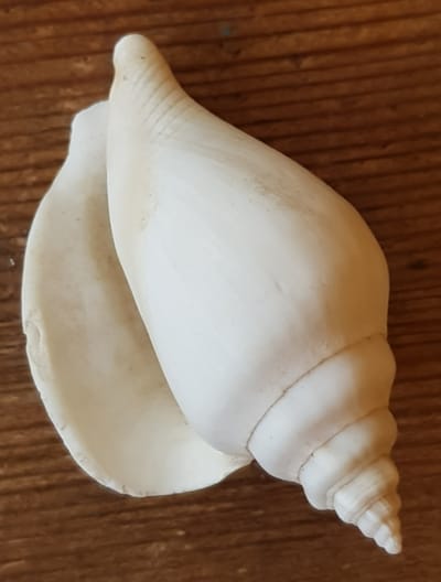 מהי מדיטציה? image