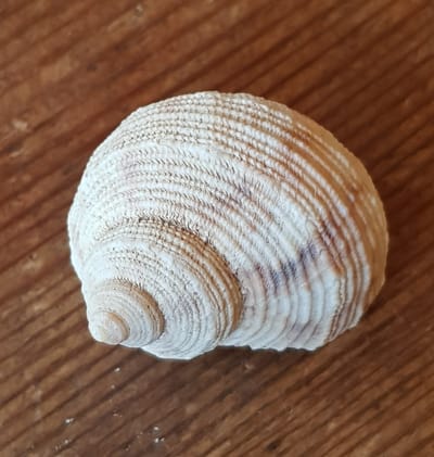 &quot;אכילה בהקשבה מלאה&quot; - ליווי אישי image