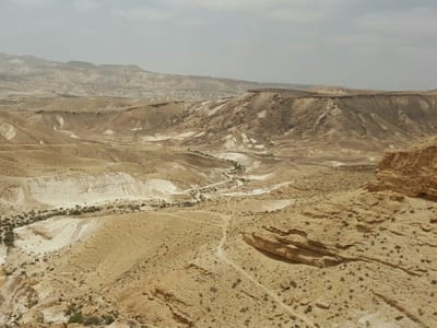 המדבר הפרטי שלי