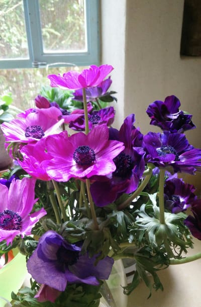 כששום דבר "מיוחד" לא קורה