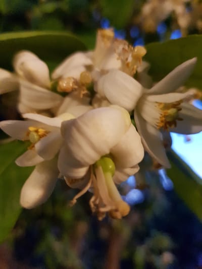 החירות להיטיב עם עצמי