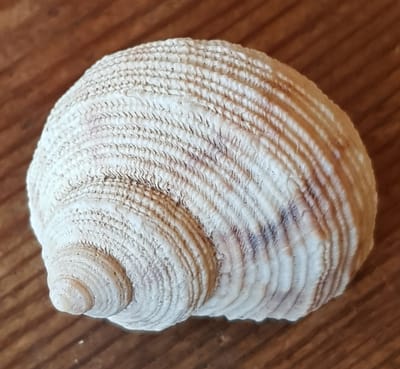 מהות התהליך image