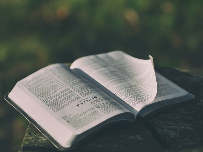 BIBLE STUDIES