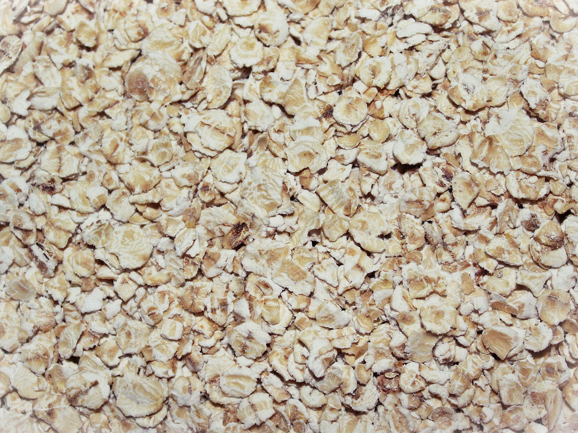Avena