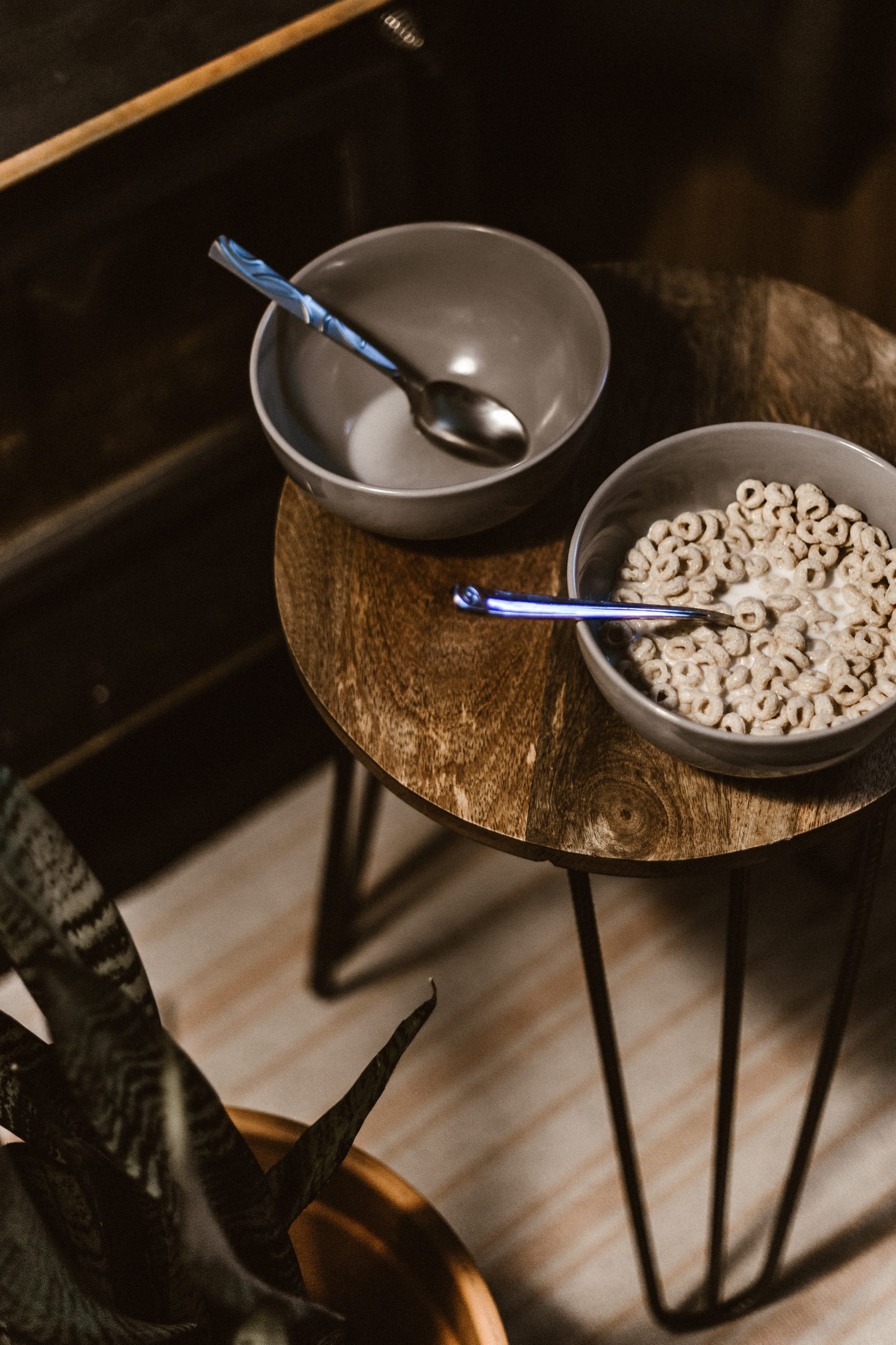 Tipos de cereales que cultivamos y el clima y suelo donde los cultivamos.