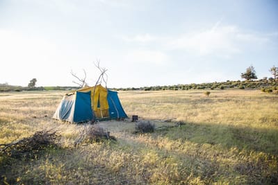 campsitefinders image
