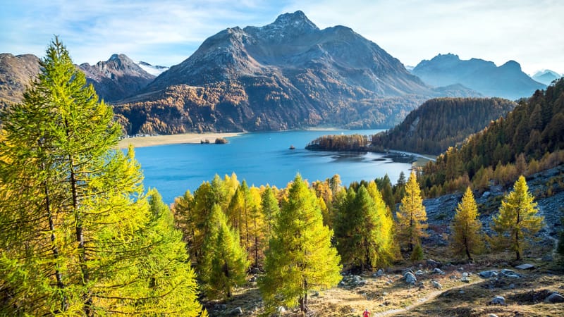 Concert at the Resonanzen Festival