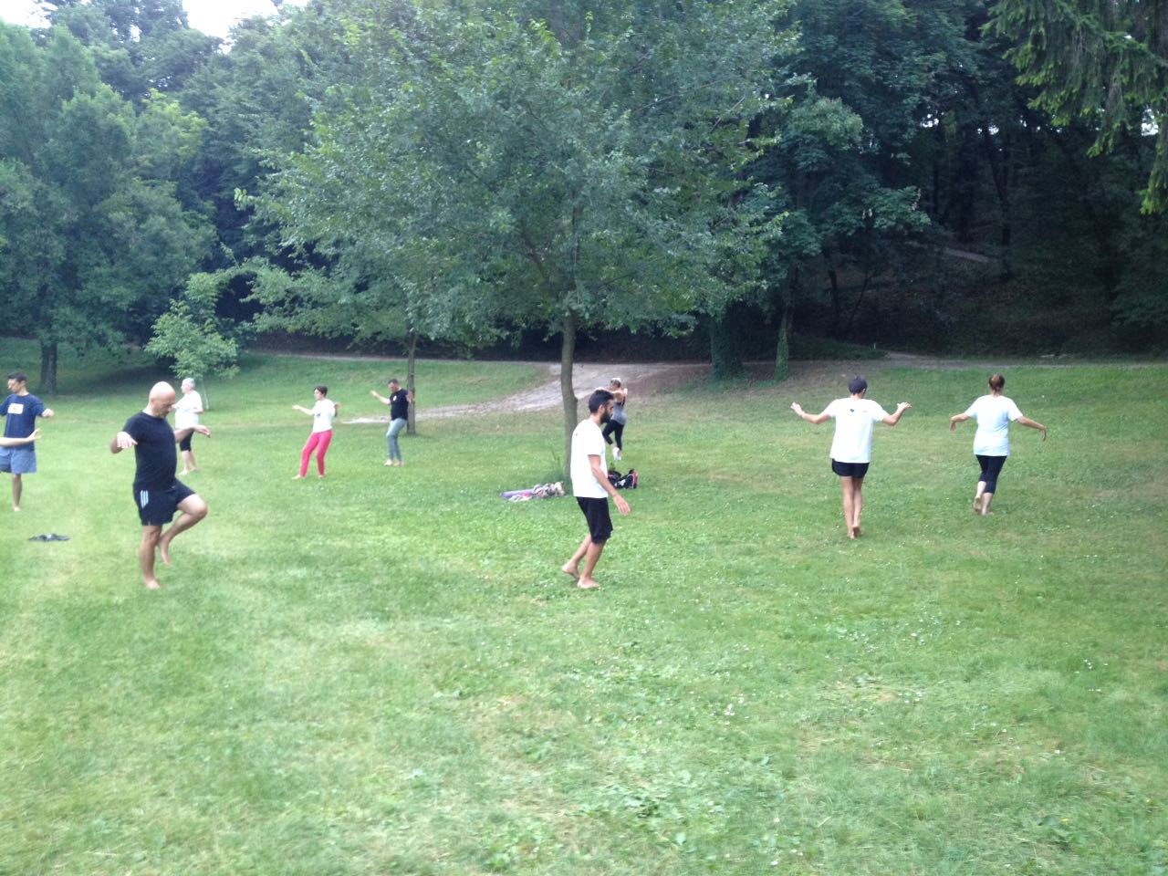 Summer QI Gong al Parco