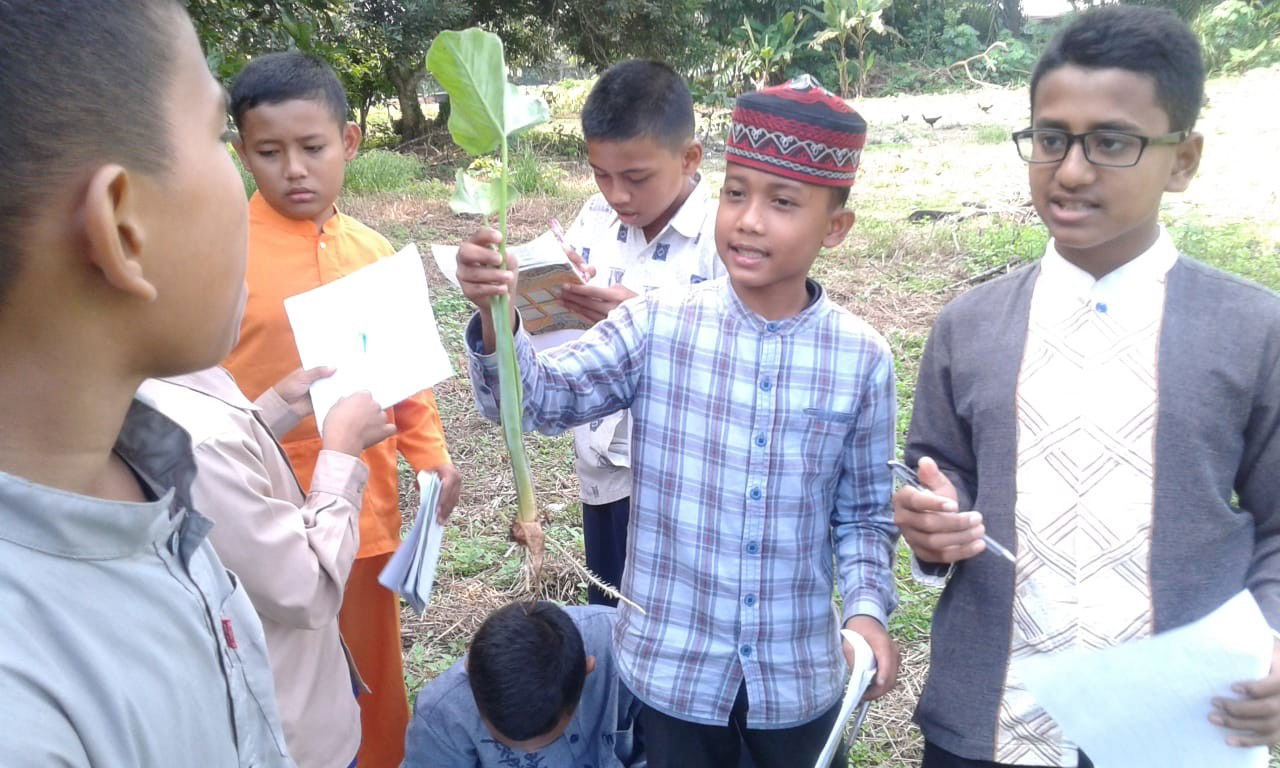 PRAKTIKUM KLASIFIKASI TUMBUHAN