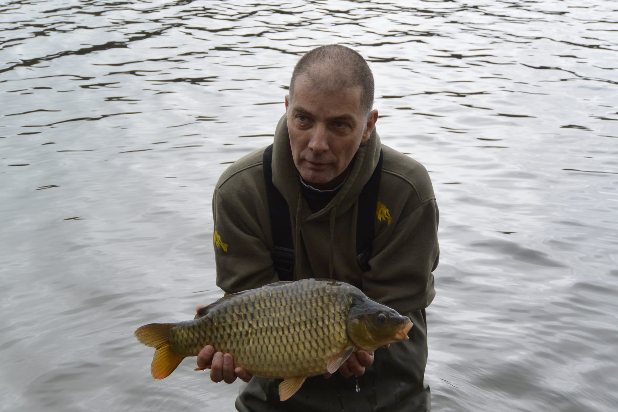 COMMON CARP 7LB 10 OZ NAMED SQUIRE