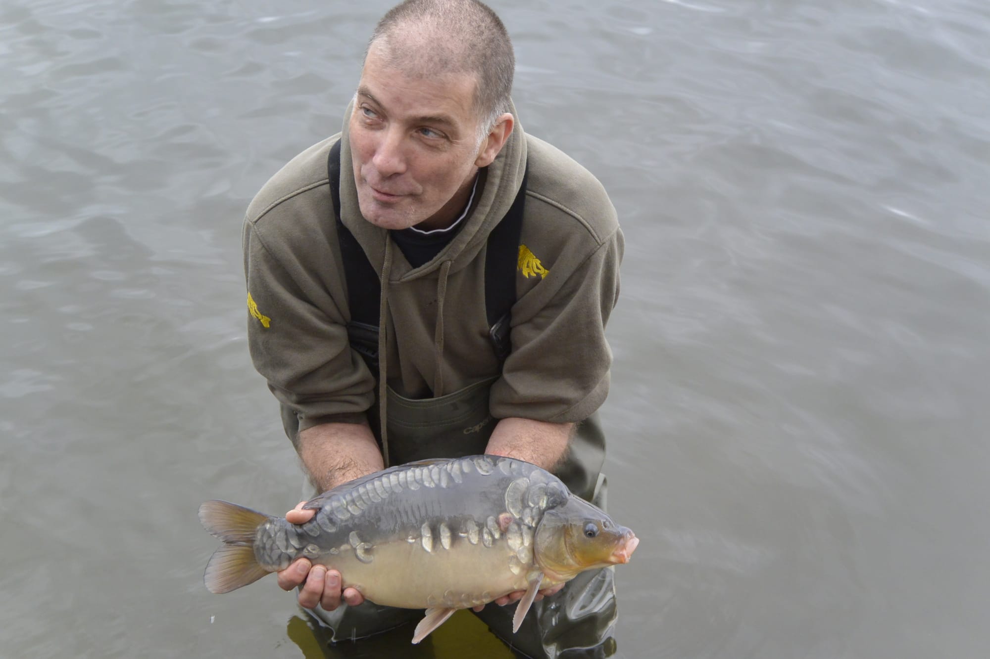 7LB MIRROR CARP