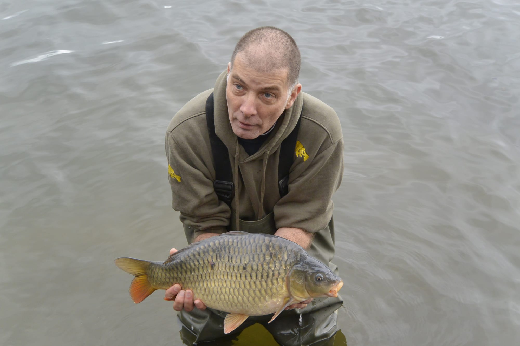 COMMON CARP 8LB 10 OZ