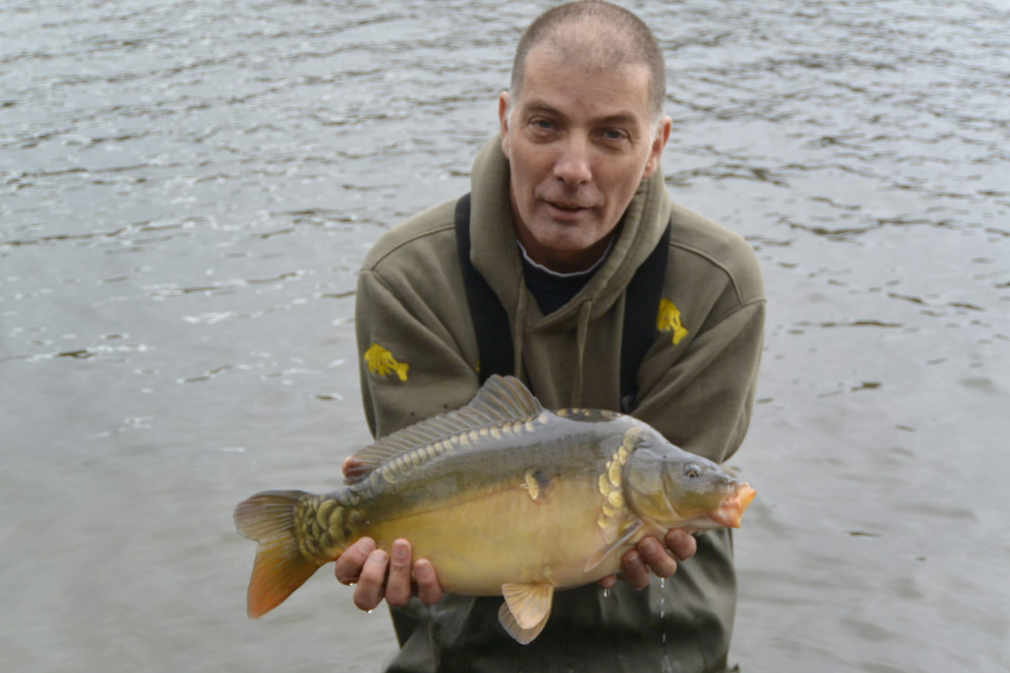 MIRROR CARP 7LB 4OZ