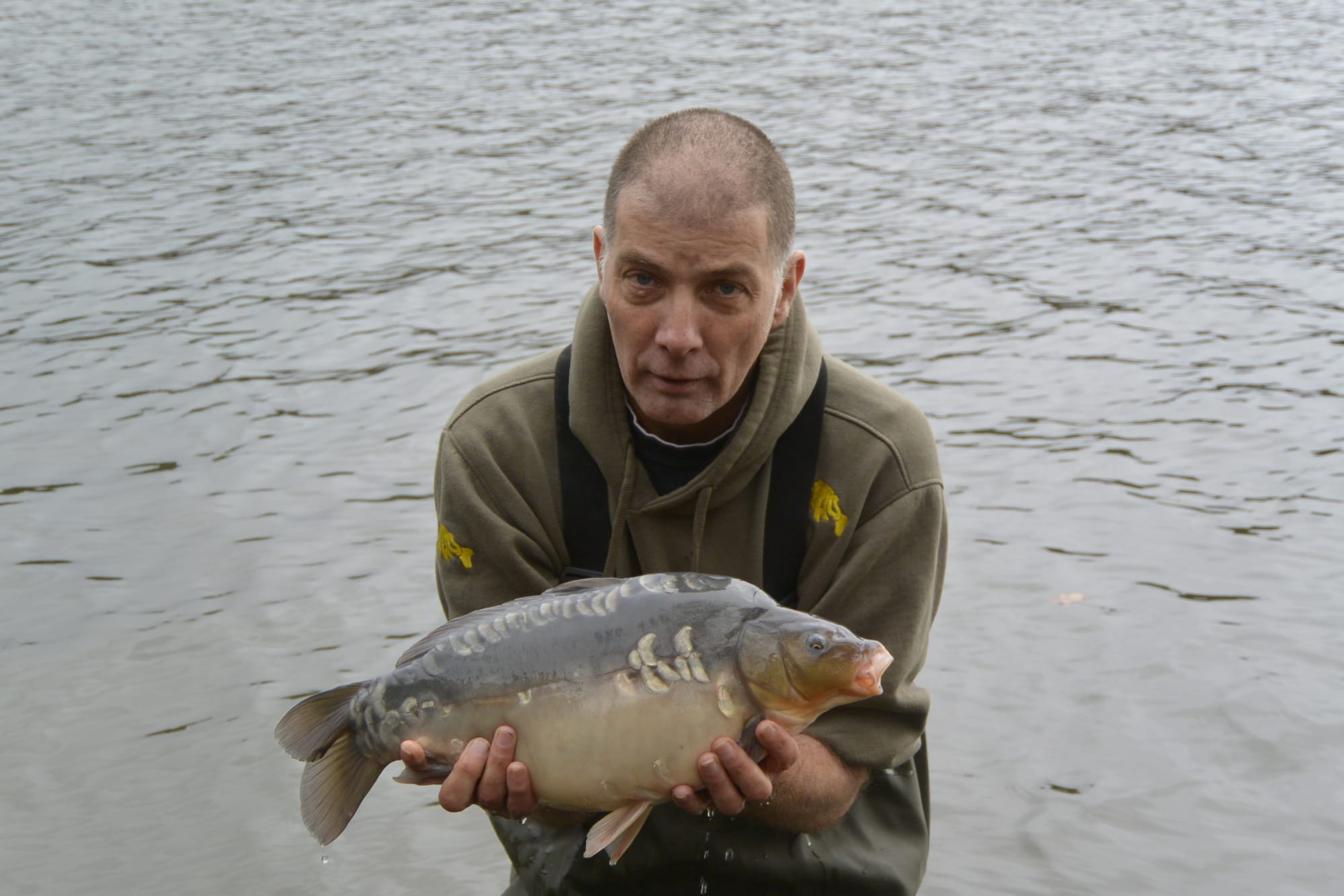 MIRROR CARP 8LB 4OZ