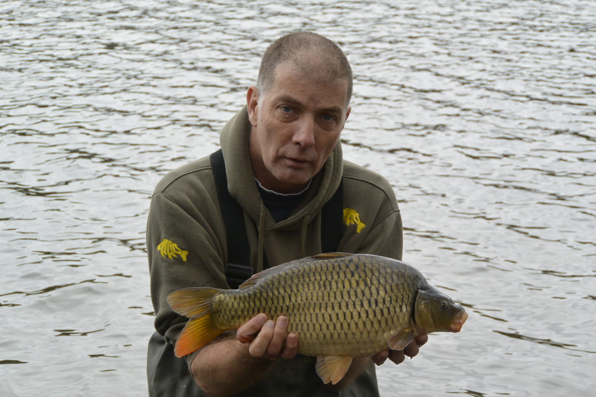 COMMON CARP 6LB 6 OZ