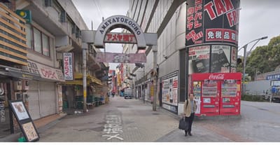 Guia Japon Espanol   image