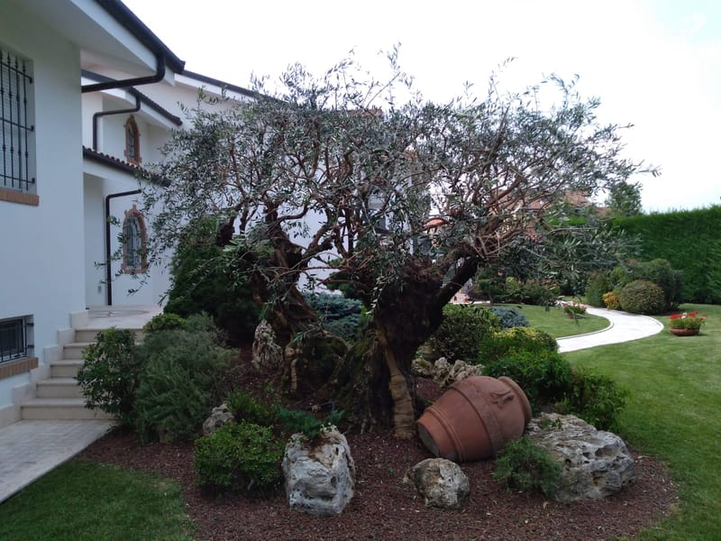 MANUTENZIONE AREE VERDI