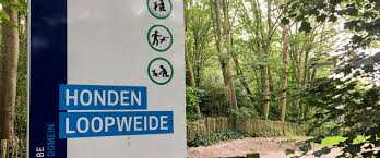 GemeenteBelangen vraagt hondenloopweide