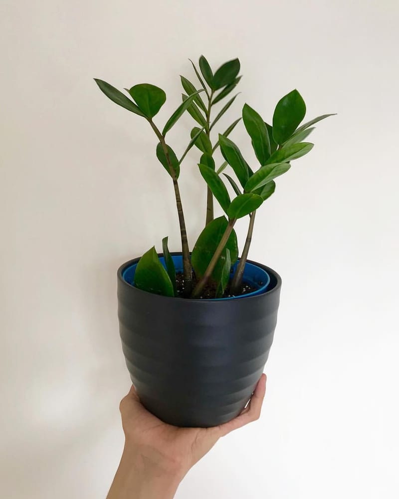 big planter pots Big Cuff Planter