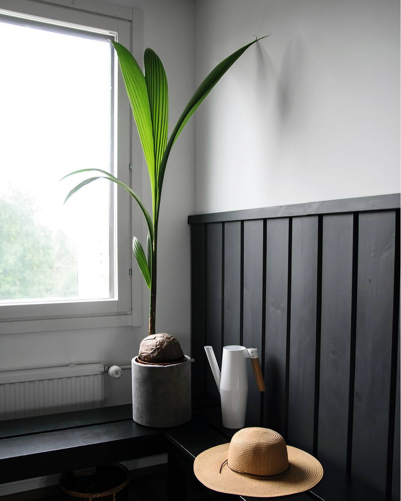 greenstalk planters 5 Tier GreenStalk Original Vertical Planter | Evergreen (Basic Texture
