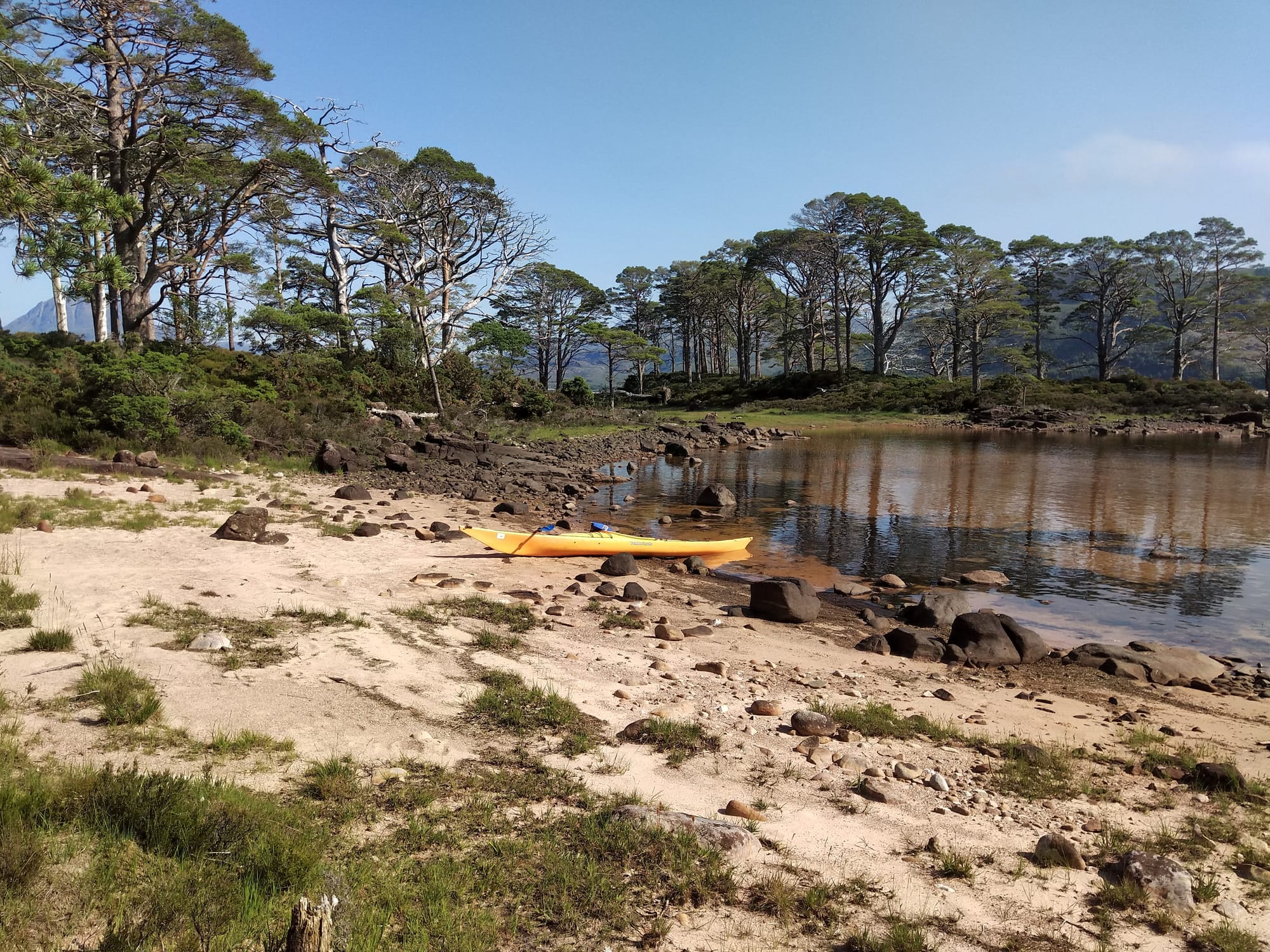 Island on Loch Maree