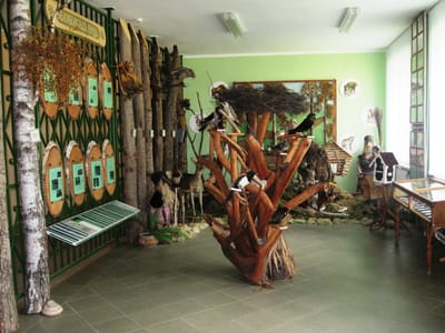 МУЗЕІ  ЎСТАНОЎ  АГУЛЬНАЙ  СЯРЭДНЯЙ  АДУКАЦЫІ   image