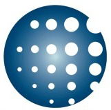 2010-2013