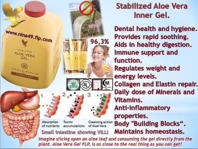 purchase aloe vera plant Bear Valley Nursery main image 0