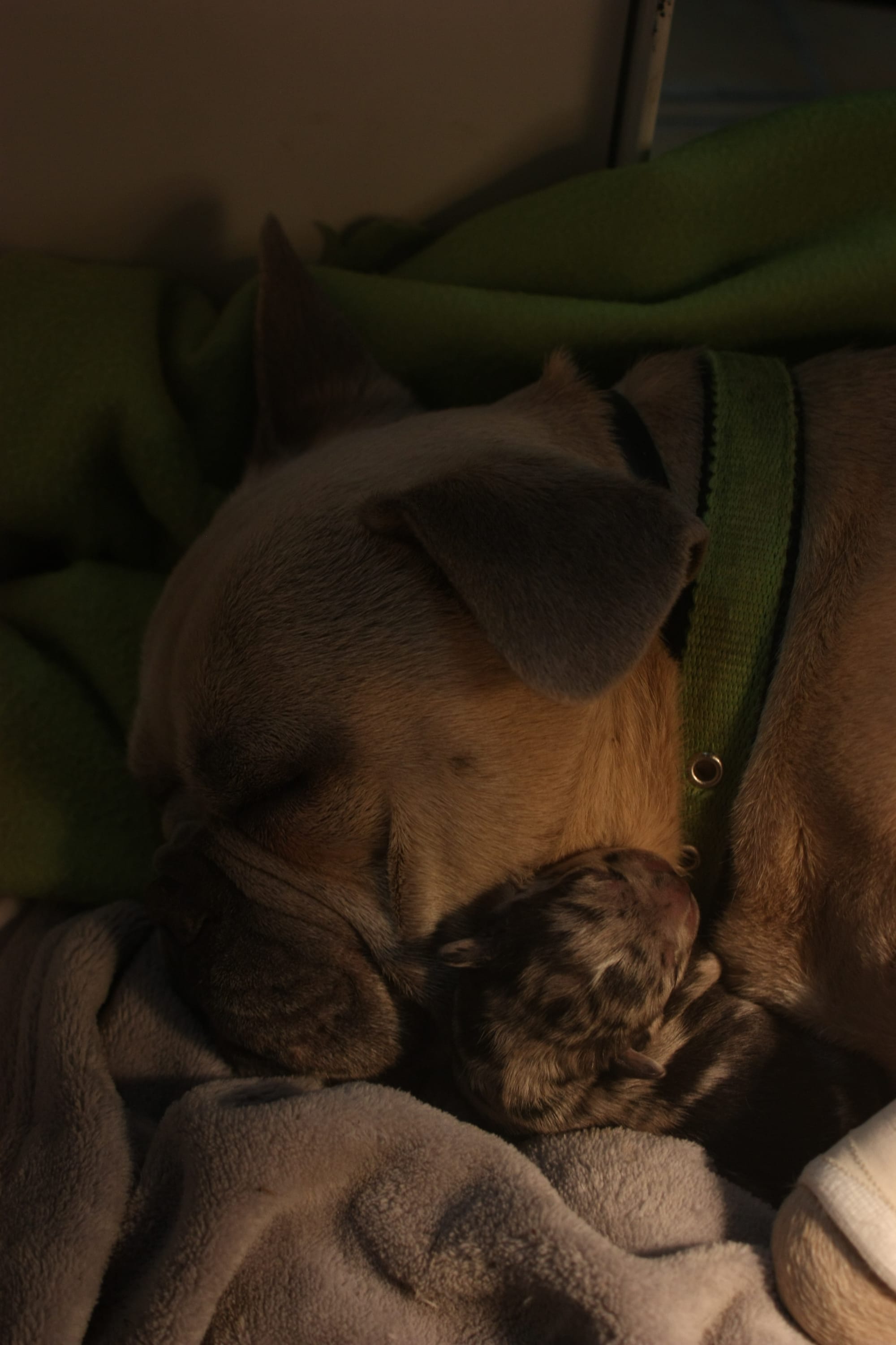 Moment de tendresse