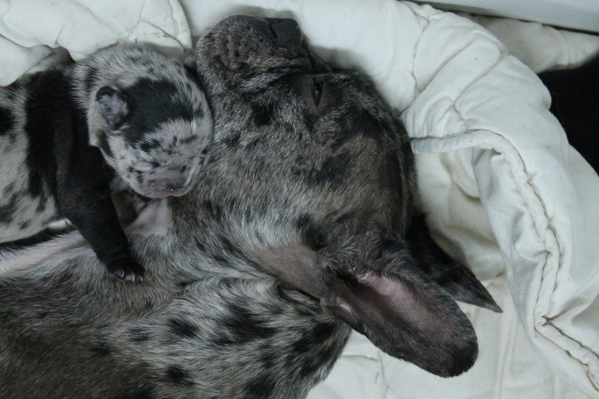 moment de tendresse