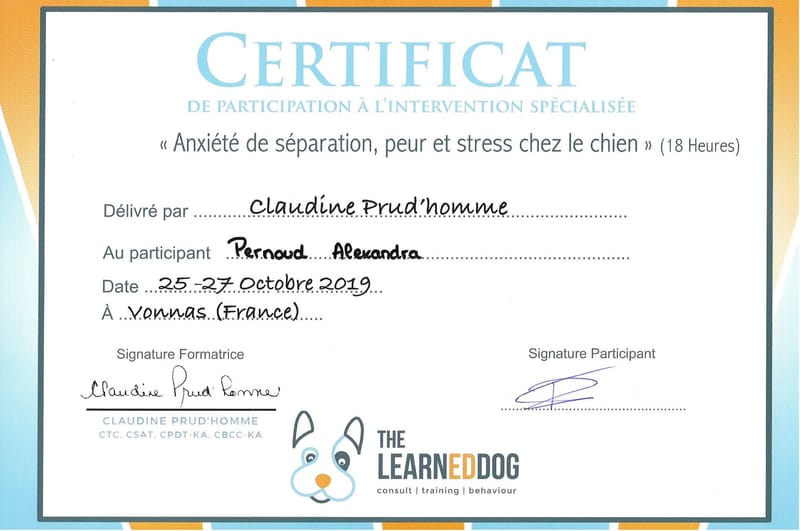 Formation en Anxiété de Séparation